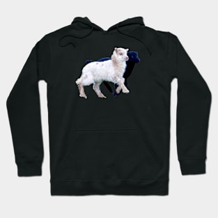 Lamb black and white / Swiss Artwork Photography Hoodie